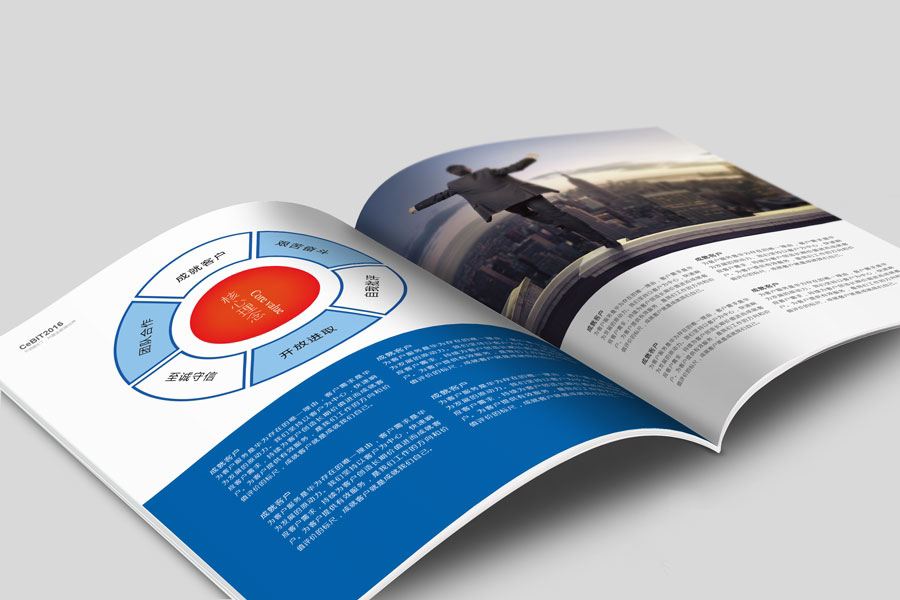 商標(biāo)注冊(cè)注意事項(xiàng)