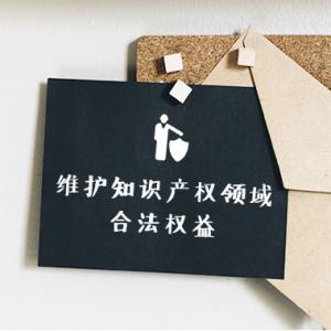 知識產(chǎn)權(quán) 知識產(chǎn)權(quán)