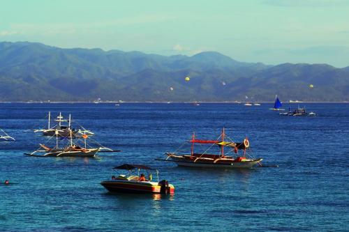 旅行社業(yè)務(wù)經(jīng)營許可證 旅行社業(yè)務(wù)經(jīng)營許可證