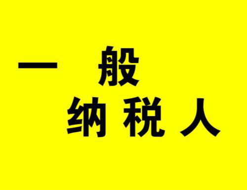 代理記賬 一般納稅人