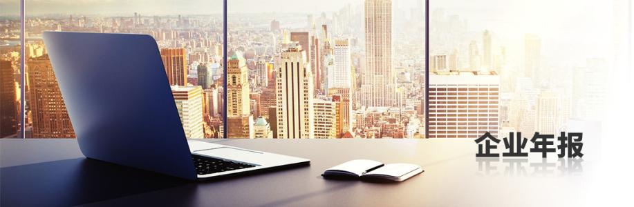 增值電信業(yè)務(wù)許可證年報 增值電信業(yè)務(wù)許可證年報