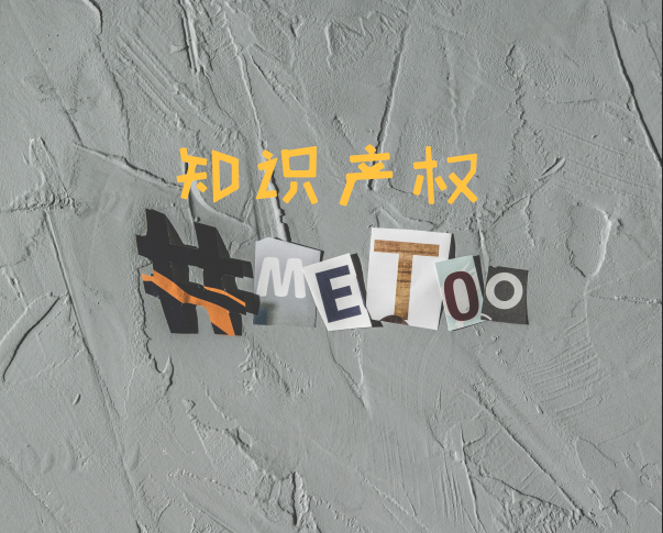 知識產(chǎn)權(quán) 知識產(chǎn)權(quán)