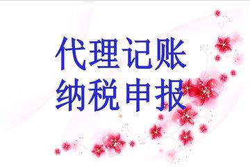 代理記賬納稅 代理記賬納稅