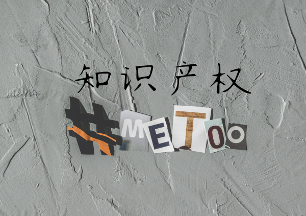 知識(shí)產(chǎn)權(quán)