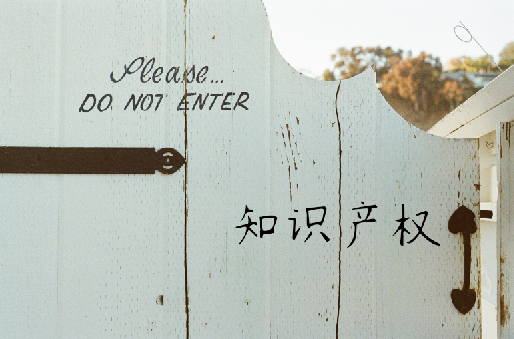 知識(shí)產(chǎn)權(quán)