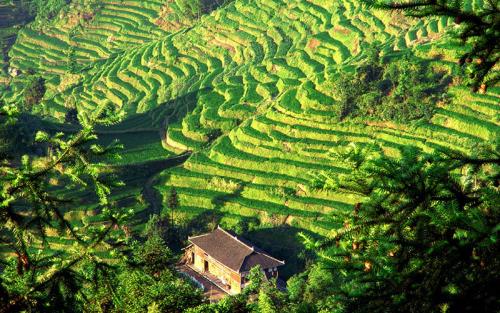 水土保持監(jiān)測監(jiān)理