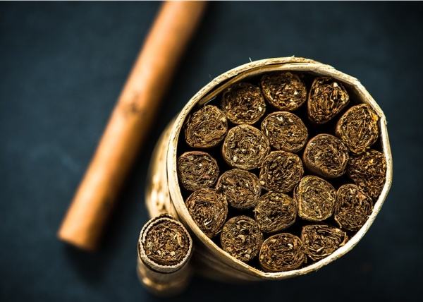 煙草專賣零售許可證 煙草專賣零售許可證