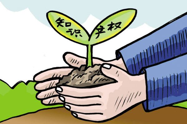 知識(shí)產(chǎn)權(quán) 知識(shí)產(chǎn)權(quán)