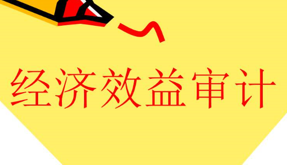 什么是經(jīng)濟效益審計，有何特點？