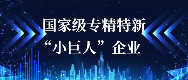 專精特新小巨人申報(bào)條件有哪些？